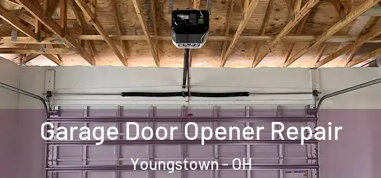  Garage Door Opener Repair Youngstown - OH