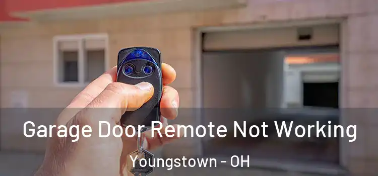  Garage Door Remote Not Working Youngstown - OH
