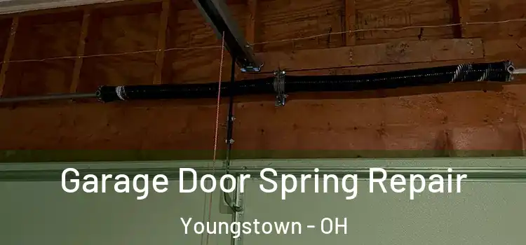  Garage Door Spring Repair Youngstown - OH