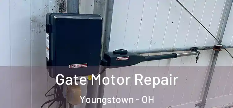 Gate Motor Repair Youngstown - OH