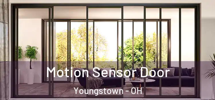 Motion Sensor Door Youngstown - OH