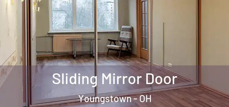  Sliding Mirror Door Youngstown - OH
