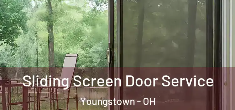 Sliding Screen Door Service Youngstown - OH